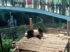 -大连森林动物园