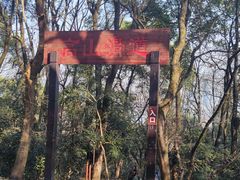 -岳麓山风景名胜区