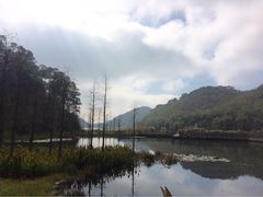-广州市石门国家森林公园