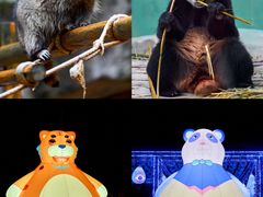 -杭州野生动物世界