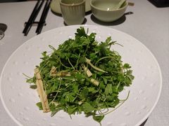 -悦融·京鲁菜·露台花园(安定门店)
