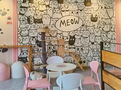 用餐区-喵匠猫主题咖啡(凯德和平广场店)