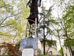 -徐家汇源景区-衡山公园