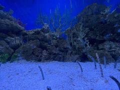 -成都浩海立方海洋公园