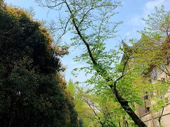 -武汉大学-樱园