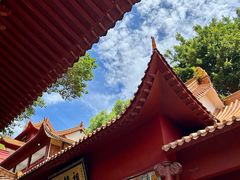 -深圳仙湖植物园