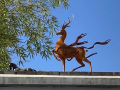 -龙华素斋(龙华路店)