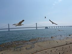 -星海广场