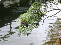 -广州市白云山风景名胜区