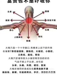 点击看大图 -香薇妮丝女子减肥院