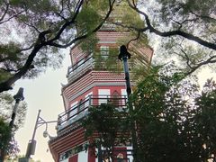 -顺峰山公园
