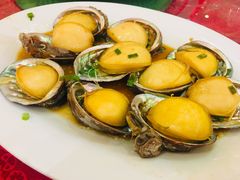 -京基晶都酒店