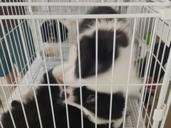 -鹏欣水游城