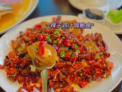 -甄御•海鲜新青岛菜(麦岛店)