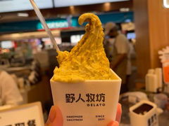 -野人牧坊Gelato(天津南开大悦城店)
