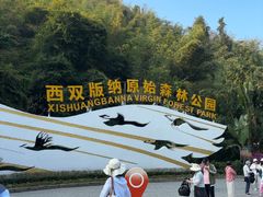 -西双版纳原始森林公园