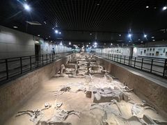 -洛阳周王城天子驾六博物馆