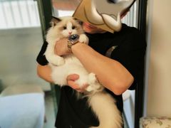 -威尔仕健身·游泳(中港汇店)