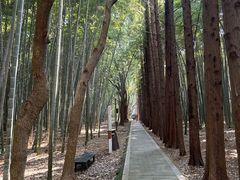 -同里国家湿地公园