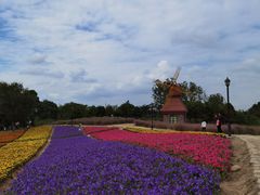-杭州湾海上花田景区