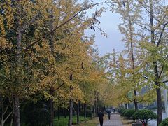 -浙江农林大学(东湖校区)