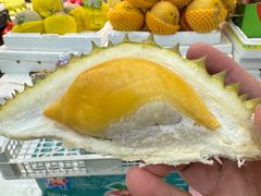 -油麻地果栏