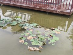 -西安汉城湖景区