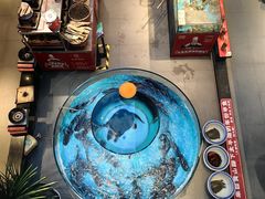 -魏铭鱼头捞饭(晋阳路店)