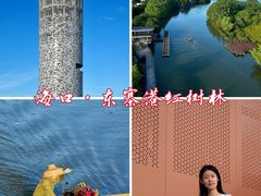 -东寨港红树林旅游区