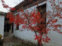-常熟方塔园