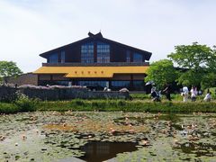 -宁波杭州湾国家湿地公园