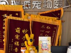 -瑞派宠物医院·犬猫全科·猫友好(宾水西道店)