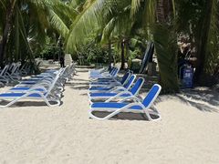 -亚马逊丛林水乐园