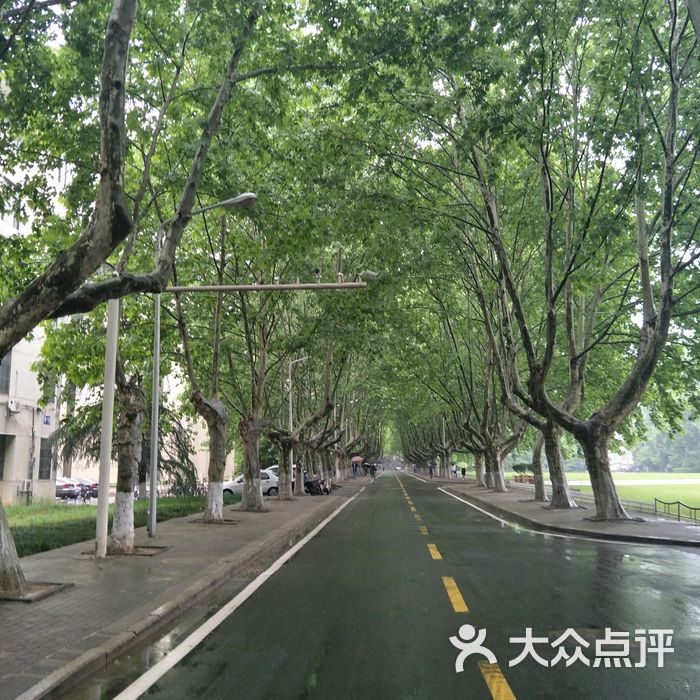 南京农业大学卫岗图片