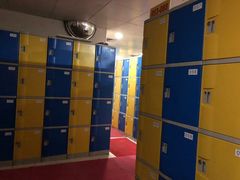 -重庆市奥林匹克体育中心-游泳跳水馆