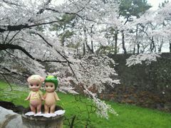 -名古屋城