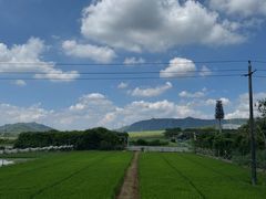 -光明小镇欢乐田园