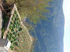 -雁荡山风景名胜区