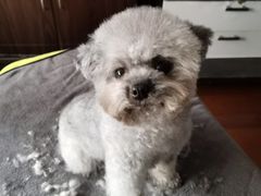 -爱侣宠医·鹦鹉专科·小型哺乳类·异宠专科(灵石路店)