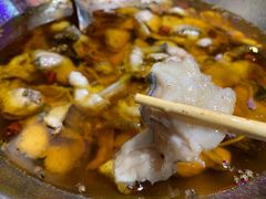 -雲蜀龙阁·金牌水煮鱼(方庄店)