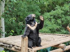 -济南野生动物世界