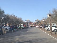 -呀路古热带植物园