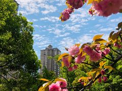 -新虹桥中心花园