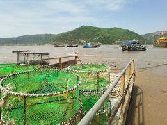 -北岐滩涂