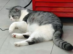 -颐缘居·南翔小笼馆