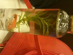 -有家酸菜鱼(苏州绿宝广场店)