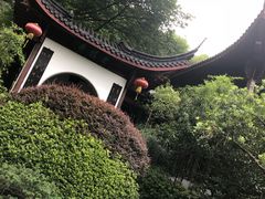 -十八棵（老龙井）御茶园(老龙井店)