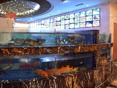 水产区-顺德人家食府(黄金广场店)