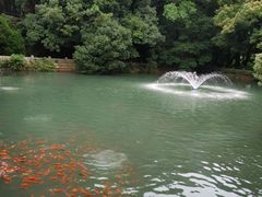 -普陀山风景名胜区-法雨禅寺