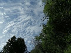 -北京鹫峰国家森林公园